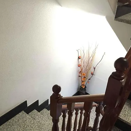 Jose Rey Castrofeito