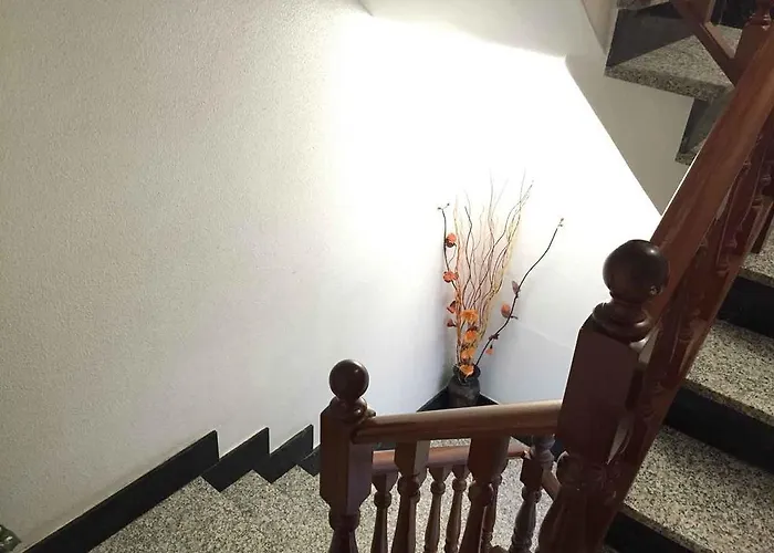 Jose Rey Castrofeito